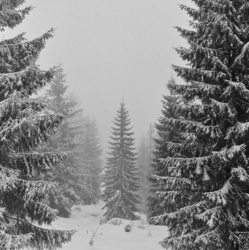 e7eba56b-24c9-4222-aeff-059e0ac699c1