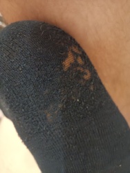 ac81ad2a-8e87-44ec-89ed-6e5de073d41d