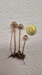 5199ca6b-cd2b-4f97-9b2e-a3297f7ecaad