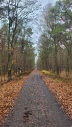 dac7d0e5-2d80-484b-8213-17c64540ef93