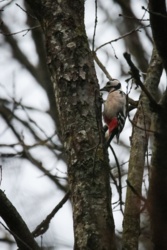 6391ac0a-f3fb-45ee-860f-72d5c855255a