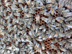 b5e59c4c-1e8c-4661-8afa-c177397898e1