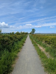 274f7454-8808-43b2-99ea-6e7beb80674c