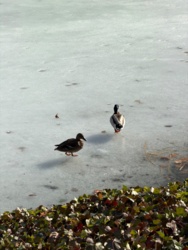 0476d1d4-21ce-45c7-b22e-84e95fb8f954