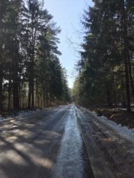 d350cb17-2e03-46e5-bf5f-2668b369a31d