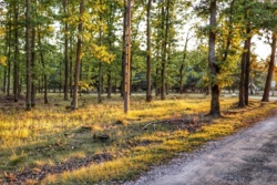 e0d90e55-ee58-42b4-87b0-c532760b1bae