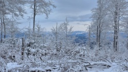 bdf814d1-770d-4f3f-aaca-4a1066bb68fc