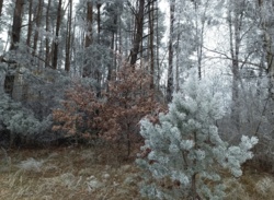 5f45f1e8-0020-400d-b2cb-5a87a2a5d4a1