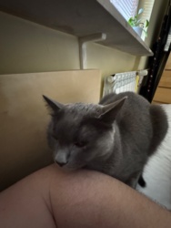 cd128e04-db67-480e-af70-eed6f4354168