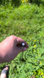 74963cda-8d54-4942-bd09-849f11ced90c