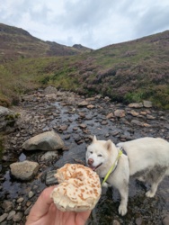 5537f411-1499-4f72-a0d3-087a77997c49