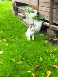 66c06a01-35fa-4ea5-9fcb-f7640f548978