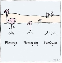 e33c7cf4-c9ce-4066-bd80-2b6805b4336b