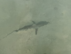 a55978a2-68b2-4974-87f1-e0889974e206