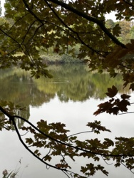 d37e4bcf-749a-433b-b47f-85755240588e