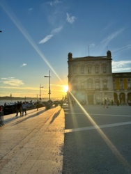 8b5cf693-d257-43cc-bdc4-07a134fa2992