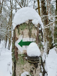 2bbcad2e-d3ae-4fdc-b821-e31bc48c0649