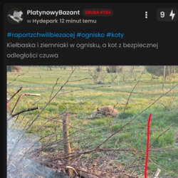 ad0eb133-221a-4872-ba05-4f726560b50d