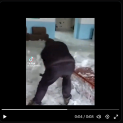 150177f7-ae37-4398-b3db-baa4bf4b63f7