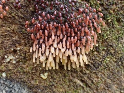 49d599aa-0192-4763-822e-2b63b8c46ca0