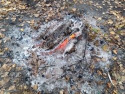 7b99667a-7857-4918-bbef-0e9f8aa1ac1e