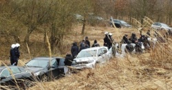 Tłumaczyli, że przyszli na grzyby. Policja udaremniła starcie 200 pseudokibiców