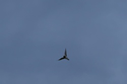 c35a217a-cbd7-4059-996d-7ed4782ed3e9