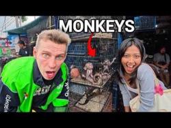 Wewnątrz NIELEGALNEGO targu zwierząt egzotycznych w Dżakarcie