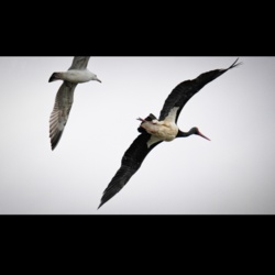 3424ab45-9b93-42ce-be85-67b8b08aaafa