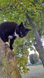 e3fe5ac2-10bb-413e-91fd-2d92d5fc8388