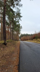 4ace173b-8483-46f5-b887-56c0261ae798