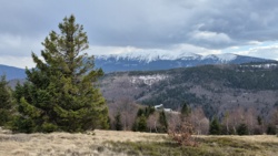 c3b3cecc-781e-4717-9319-22b1afbd09c0