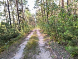 1f3f2f05-c6c0-430b-ae94-5152b47cb688