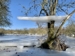 5157ac89-076f-4eed-bf26-a0f2d6aab53b