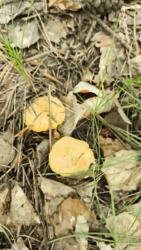 49e5ce9a-2191-453a-afbe-3a2c19464085