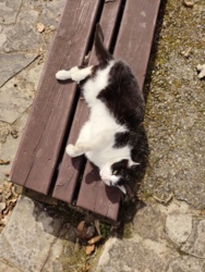 20ee8c07-ece9-4a4a-9c82-552bacdc4cd1