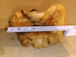 e7996755-53f6-4e84-b267-ace70a8a58e8