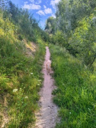 25944cda-dcad-4d49-a464-3069db058a1b