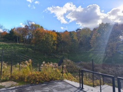 efccbb75-01be-4df4-8da3-8f0256fc39a9