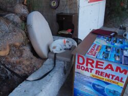 820337a1-3df5-460e-9101-4f2f796b8981