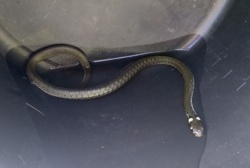 9ac26928-8482-4f66-818e-4bdec1cfb048