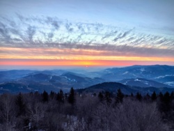 958e91ea-e2a7-4972-91db-a656b6ce652d