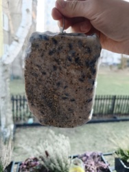 60c5ef7e-2247-4627-afff-3e9beeb3d917