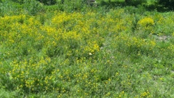 60e4e63d-c876-49df-bb59-ca28d23fa881