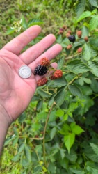 4bc1a726-3543-4012-bc9d-8d533fe784d1