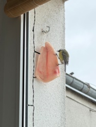 4ceae008-5926-4468-bf80-f68c55404427