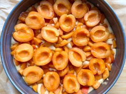 bf063797-514c-483e-9d3a-c2843e34f502