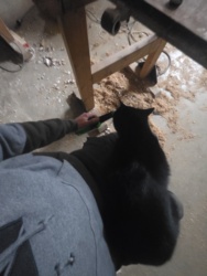 b78df48d-30a2-48fd-a3e7-80880914b22b