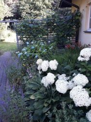 11e35f04-3822-4e9c-bb32-97d2aeda7df7