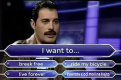 7c06535d-033c-47fd-9b82-53208f5313d6